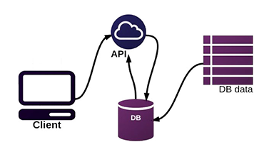 web API development